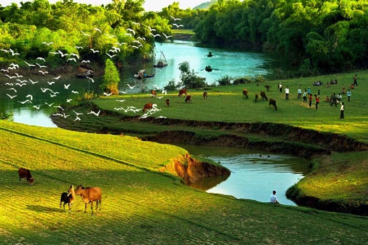 Bình giảng đoạn thơ “Ôi những cánh đồng quê chảy máu..” trong bài Đất nước của Nguyễn Đình Thi